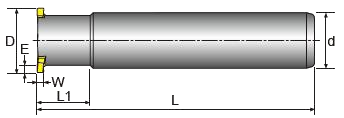 TE_1.png