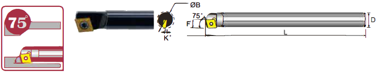 SCKCm.png